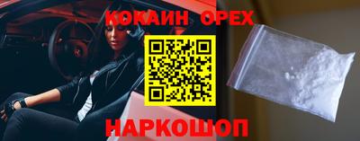 хмурый Кингисепп