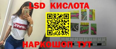 хмурый Кингисепп