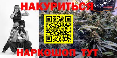 хмурый Кингисепп