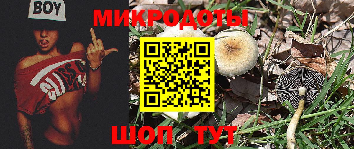 Псилоцибиновые грибы MAGIC MUSHROOMS Краснодар