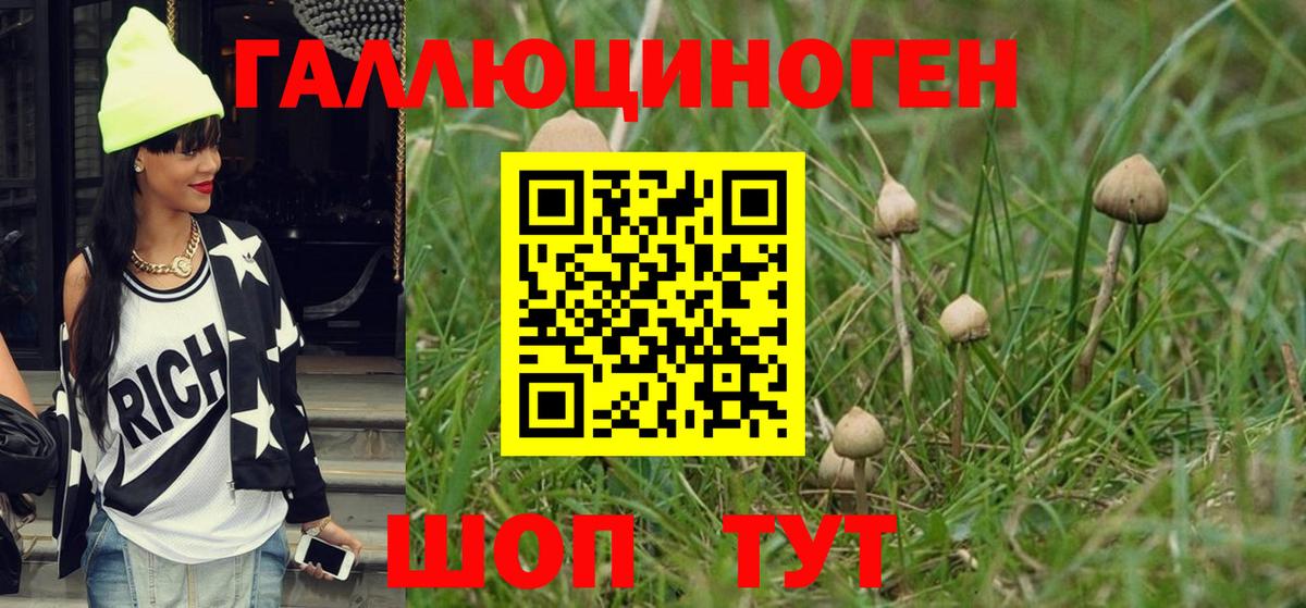 Краснодар  купить   Вход с VPN  Галлюциногенные грибы Psilocybine cubensis  Галлюциногенные грибы мухоморы 
